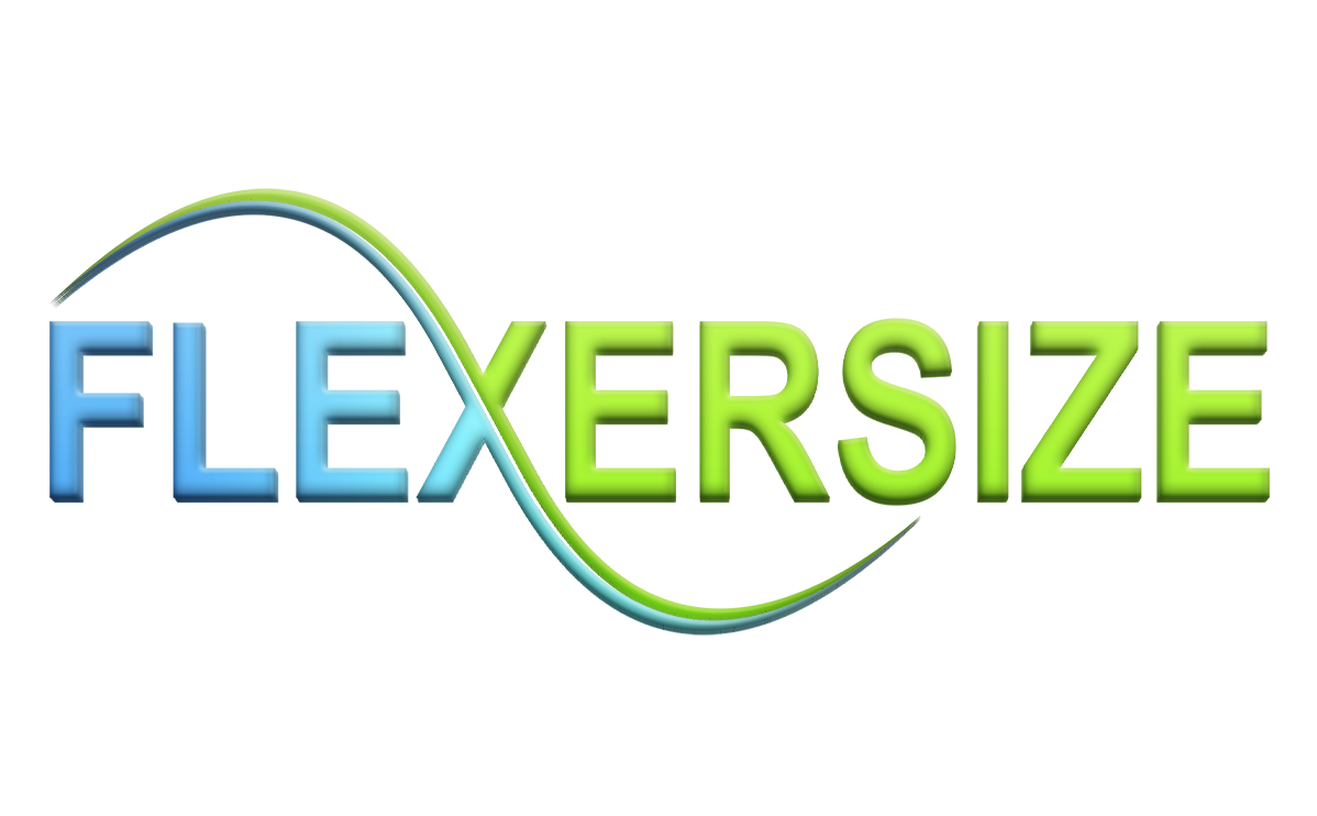 Flexersize logo